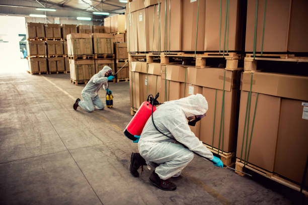 Best Wasp Removal Services  in Citrus, CA