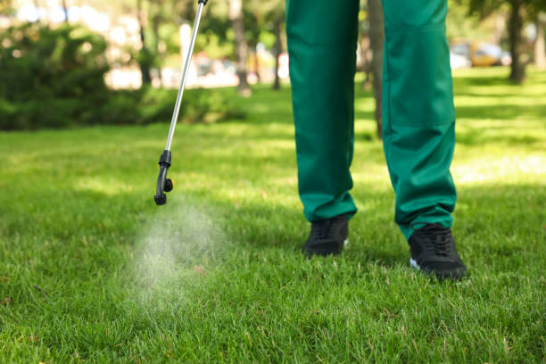 Best Bird Control  in Citrus, CA