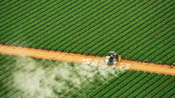 Reliable Citrus, CA Pest Control Solutions
