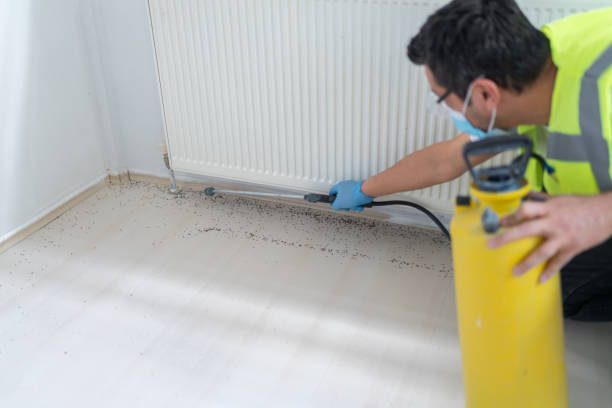 Best Pest Removal Services  in Citrus, CA