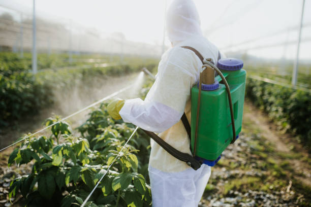 Best Bird Control  in Citrus, CA